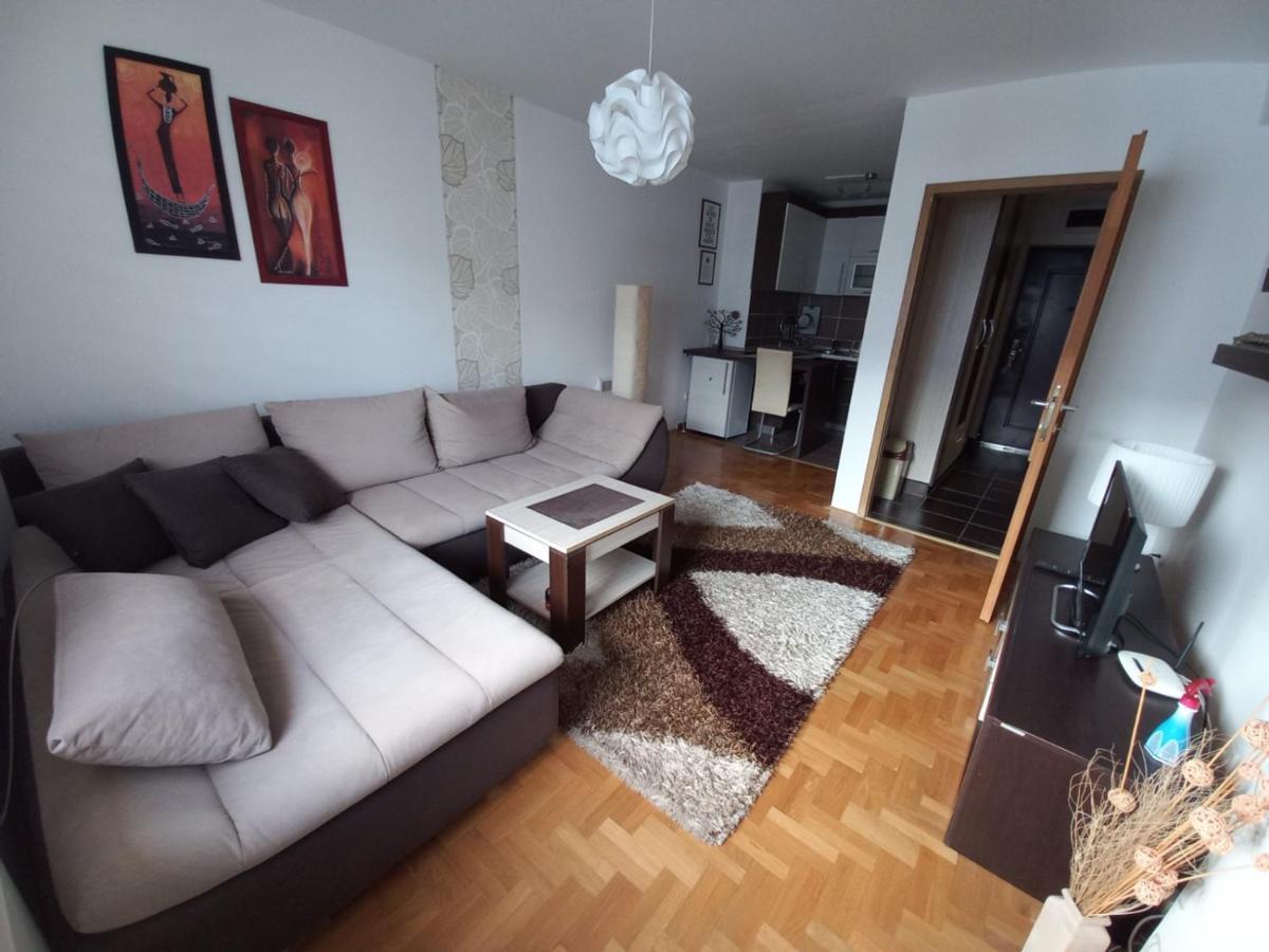 Apartman Pivasevic Σαράγεβο Εξωτερικό φωτογραφία
